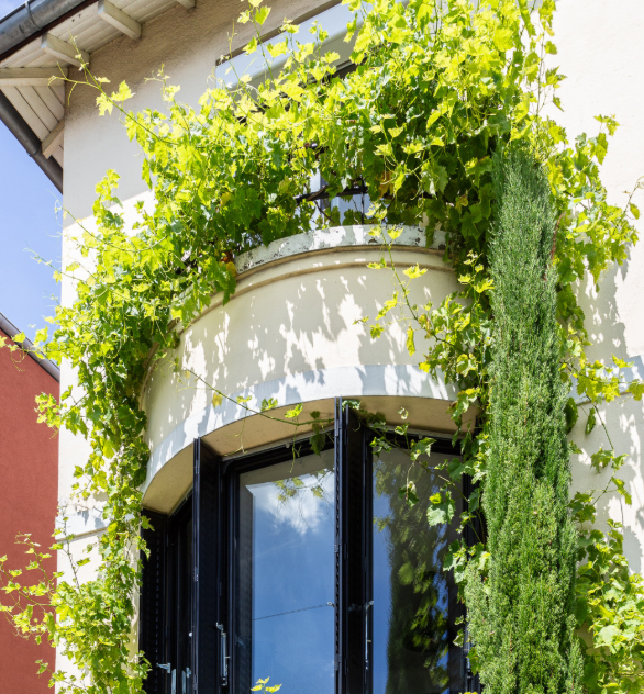 Menuiserie Chambéry